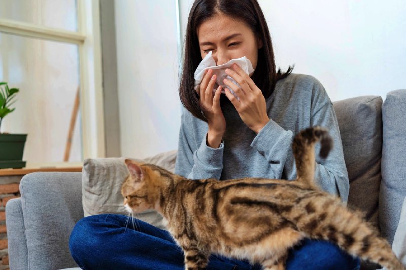 Alergia oraz jej rodzaje